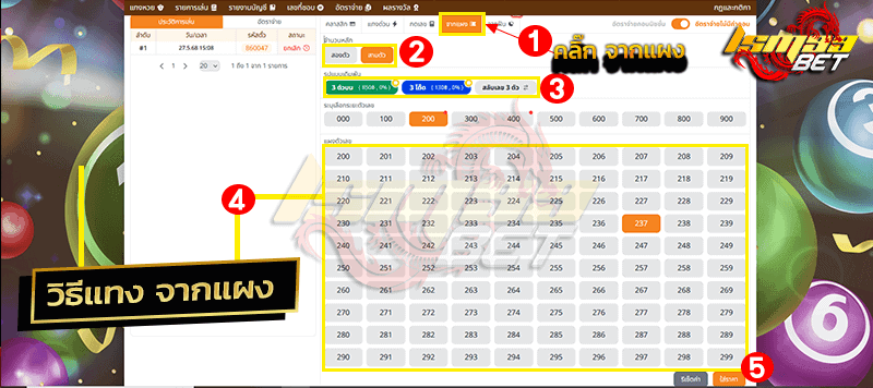 mylotto99 จากแผง