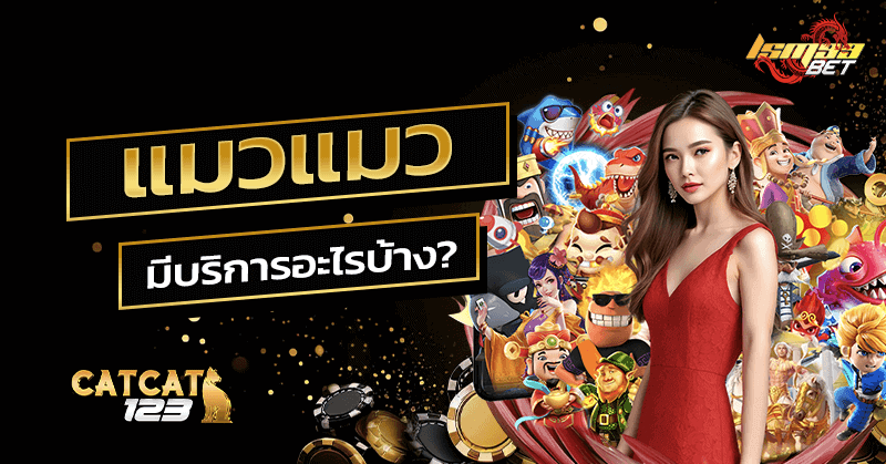 แมวแมว